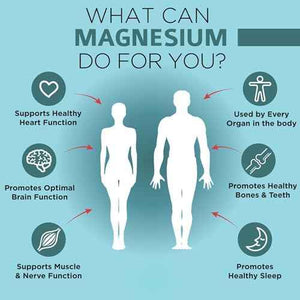 OmniBiotics Fadogia Agrestis + Magnesium