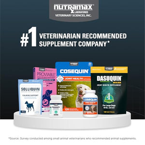 Nutramax Dasuquin for Large Dogs, Joint Health Supplement, Contains Glucosamine for Dogs, Plus Chondroitin, ASU and More, Supports Healthy Joints, Soft Chews, 150 Count Nutramax LaboratoriesBuy Supplements Australia