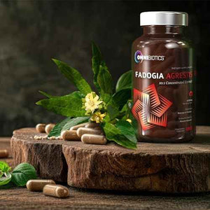 OmniBiotics Fadogia Agrestis + Magnesium