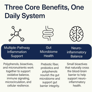 ACEND Advanced Inflammatory Support Powdered Drink Mix | Evidence-Based Polyphenols + Prebiotic Fiber + Probiotics | D3+K2, Minerals & Electrolytes | Non-GMO ACENDBuy Supplements Australia
