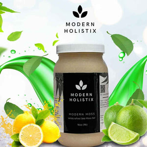 Modern Holistix Original Sea Moss Gel - 32oz Jar - Wildcrafted - All-Natural Superfood for Immunity, Energy & Gut Health