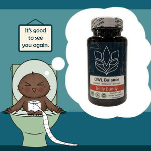 Belly Buddy Advanced Gut Health Support containing a helthy Blend of Probiotics, Prebiotics, and Digestive Enzymes OWL Balance buy supplements Au