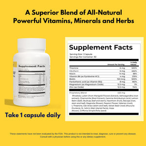 4BETTERMOOD Positivity & Stamina Capsule (30ct) Premium Mood Supplement - Enhance Mood & Promote Emotional Balance - Rhodiola, L-Theanine. Bocopa monnnieri, Velvet Bean, Skull Cap & Ashwaganda. 4BETTERMOOD Positivity & Stamina buy supplements Au