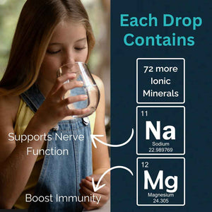 MAYU Trace Mineral Drops - 3 Bottles - 80+ Full-Spectrum Ionic Minerals for Water - Great-Tasting Mineral Supplement for Hydration - Magnesium, Potassium & Zinc - No Additives - 90 Servings mayu buy supplements Au