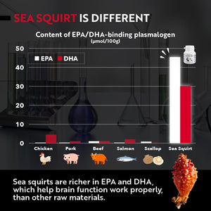 REMORY Plasmalogen Sea Squirt Supplement - Brain Health Supplement - 30 Days Supply REMORY buy supplements Au
