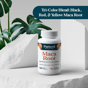 Pattern Wellness Maca Root Extract 20:1-500mg Per Serving – for Men & Women – Tri-Color Black/Red/Yellow Blend – 60 Vegan, Non-GMO Capsules Pattern Wellness buy supplements Au