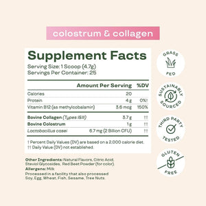 Bloom Nutrition Bovine Colostrum Powder with Vitamin B-12 for Gut Health, Immune Support, Hair Growth & Beauty Supplement | Strawberry, 25 Servings Bloom NutritionBuy Supplements Australia