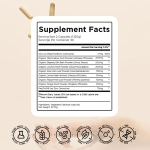 HOLISS Daily Gut Health Capsules – 8-in-1 All Natural Supplement, Lemon Balm, Bloat & Gas Relief, GI Lining Repair, Leaky Gut & Digestive Support – 60 Capsules HOLISS buy supplements Au