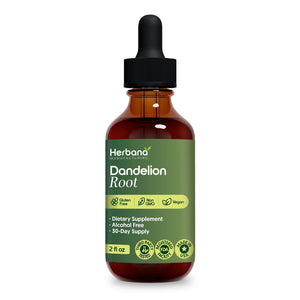 supplement productsDandelion Root 2 fl oz Liquid Extract - Natural Herbal Supplement for Cleansing, Digestive Function & Immunity - Organic Taraxacum officinale - Family Size - JerryCherryUSA