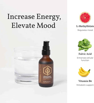 Terra Health Essentials - Liposomal B12 - Support Energy & Mood, Promote Memory, Aid Immune System (1 Bottle, 30 Day Supply)