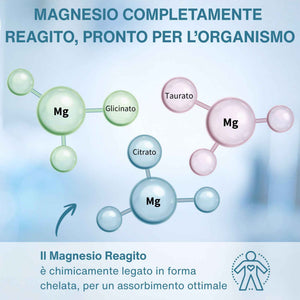 Igennus Superior Triple Magnesium Complex, Fully Reacted & Chelated Glycinate, Taurate & Citrate, Clean Label, High Bioavailability & Absorption, 60 Tablets, Vegan, Non-Buffered