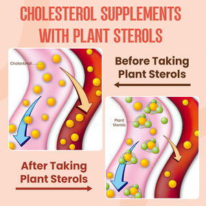 Glorithiventa Cholesterol & Booty Gummies Supplement Bundle - Plant Sterols & Stanols + CurvaBoost BBL Herb Blend & Creatine Monohydrate - Cholesterol Normal Level, Booty, Curves & Energy Glorithiventa buy supplements Au