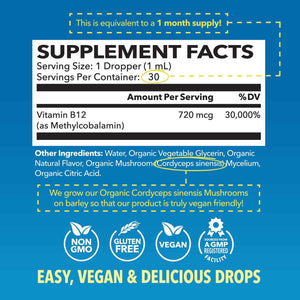 Organic Vitamin B12 Liquid Drops, Strawberry, Enhanced Energy, 1 Fl Oz - USDA Organic Vitamin B12 Liquid Drops, Highly Bioavailable Methylcobalamin for Nervous System Support, 30 Servings, Non-GMO