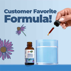 MARYRUTH'S Lymphatic Support Liquid Drops USDA Organic - Herbal Blend with Echinacea & Elderberry - Blue Vervain - Vegan - Alcohol-Free - Non-GMO - 30 Servings
