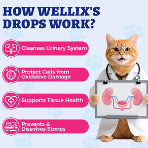 4oz Wellix Natural Cat & Dog UTI Treatment Drops,Cat & Dog Urinary Tract Infection Treatment - Cranberry & D-Mannose for Dogs & Cats - Kidney Health Supplement