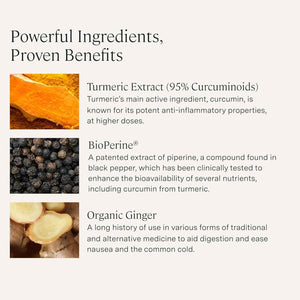 Stonehenge Health Dynamic Turmeric, Dynamic Biotics Probiotic: Joints and Digestion Support Bundle