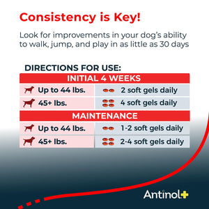 Antinol Plus, Mobility, Hip, and Joint Supplement for Dogs, Green-Lipped Mussels and Krill Oil - Dog Joint Supplement, Better and Faster Than Glucosamine and Chondroitin, 120 Soft Gels AntinolBuy Supplements Australia