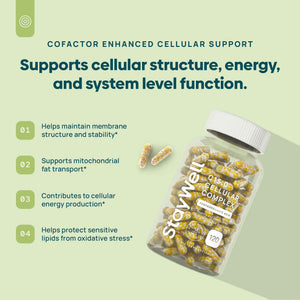 C15:0 Pentadecanoic Acid Supplement - Longevity, Cellular & Membrane Support, Micro-Granule Enhanced Absorption, Phosphatidylcholine, L-Carnitine