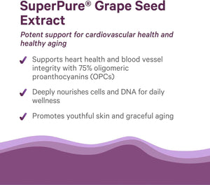 Pure Synergy SuperPure Grape Seed Extract - Organic Grape Seed Polyphenols Supplement with Whole Fruit - for Heart Health, Skin, and Healthy Aging Support (60 Capsules)