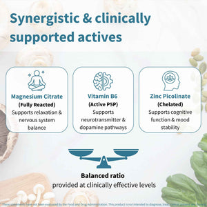 Igennus Neurobalance High Absorption Zinc Magnesium & B6 Complex - Cognitive Support, Calm Focus & Relaxation, Chelated Zinc & Fully Reacted Magnesium, Vegan, Non-GMO, 120 Small Tablets