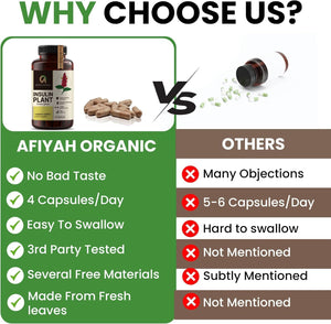 Afiyah Organic - Premium Quality Costus Igneus (Insulin Plant) Capsules - Easy to Swallow 120 Veggie Capsules (1 Month Supply) - Made in the USA - Including Complete Health Support Program Afiyah Organic buy supplements Au