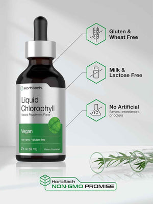 Horbäach Liquid Chlorophyll Drops - 2 fl oz - Natural Peppermint Flavor - Vegan, Non-GMO & Gluten Free Formula