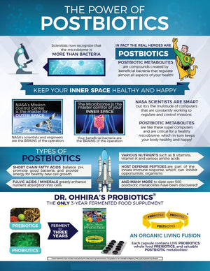 Essential Formulas Dr. Ohhira’s Probiotics Original Formula with 3 Year Fermented Prebiotics, 13 strains LAB Probiotics and Postbiotic Metabolites, 100 Capsules Essential FormulasBuy Supplements Australia