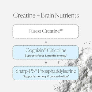 Papillex Creatine Well - Clean Creatine Powder for Brain Energy & Muscle Tone with Cognizin & Sharp - PS