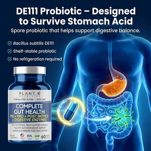 4-in-1 Gut Health Support - Prebiotics + Probiotics + Postbiotics + Digestive Enzymes for Women and Men - DE111 Spore Probiotic for Digestive Support & Bloating - Non-GMO - 60 Veggie Capsules