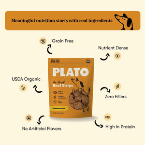 Plato Real Strips Turkey & Pumpkin Recipe Dog - 18 oz