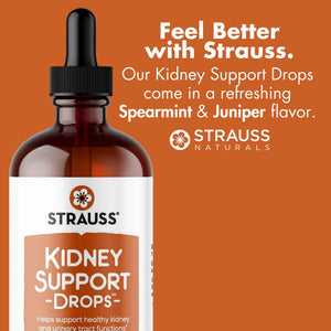 Strauss Naturals Kidney Support Drops - Herbal Kidney Support Supplement for Men and Women - Helps with Kidney Health and Urinary Tract Function - Vegan & Non-GMO - Spearmint Flavored - 100 ml Bottle