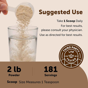 Micro Ingredients Organic Psyllium Husk Powder, 2lbs (32oz) - Daily Soluble Fiber Supplement - India Origin - Non-GMO, Keto Friendly, Vegan