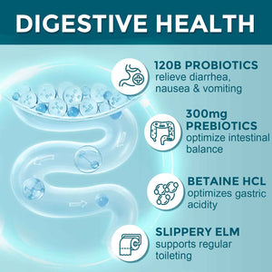 Probiotics for Women-Men Digestive Health with 120 Billion CFUs, Prebiotics and Probiotics for Women-Men, Digestive Enzymes, Nutrient Absorption, Immune Support