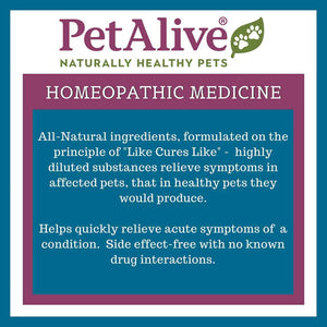 PetAlive Muscle and Joint Support-M - Natural Homeopathic Formula for Joint Pain and Stiffness in Pets - Supports Joint Health and Movement in Dogs and Cats - 59 mL