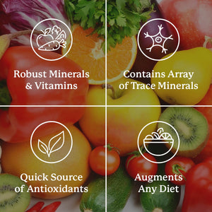 Nature's Sunshine Super Supplemental: Complete Multivitamin with Minerals, Antioxidants & More for Nutritional Gaps, Overall Health, Immune & Energy Support. 120 Tabs Nature's Sunshine buy supplements Au