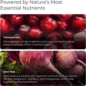 Livingood Daily Blood Pressure Support, Heart Health Supplement for Men & Women with Beet Root, Pomegranate, Hawthorn, Magnesium & Taurine, Cardiovascular Support Formula, Vegan, 120 Capsules
