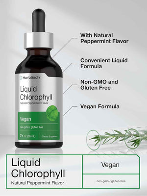 Horbäach Liquid Chlorophyll Drops - 2 fl oz - Natural Peppermint Flavor - Vegan, Non-GMO & Gluten Free Formula