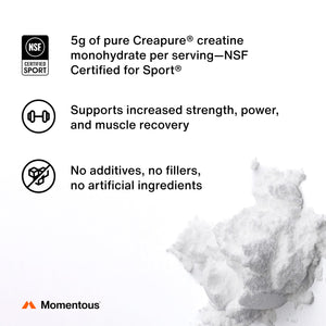 supplement productsMomentous Creatine Lemon Monohydrate Powder - Creatine Powder - Supports Strength, Lean Muscle, & Recovery for Men & Women - NSF Certified for Sport - 6.49 g per Serving - 15 Servings - JerryCherryUSA