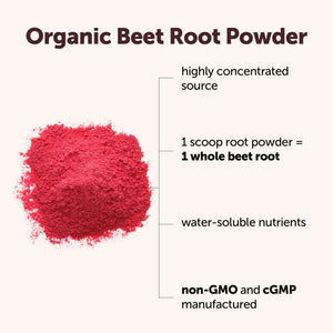 Micro Ingredients Organic Beet Root Powder, 4lb (64 oz) - Nitric Oxide Supplement, Water Soluble, Highly Concentrated Raw Beet Supplement, Superfood Drink Mix, Non-GMO, Plant Based