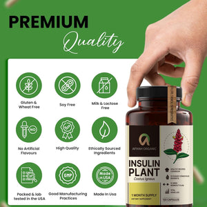 Afiyah Organic - Premium Quality Costus Igneus (Insulin Plant) Capsules - Easy to Swallow 120 Veggie Capsules (1 Month Supply) - Made in the USA - Including Complete Health Support Program Afiyah Organic buy supplements Au