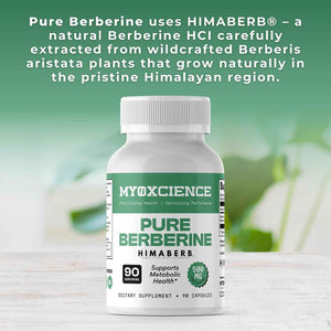 MYOXCIENCE Pure Berberine Himaberb - 500 mg of Berberine HCl per Serving - 90 Servings