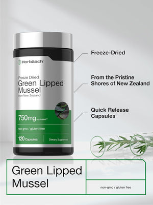 Horbäach Green Lipped Mussel - 120 Capsules - from New Zealand - Premium Freeze Dried Mussel Powder - Non-GMO and Gluten Free