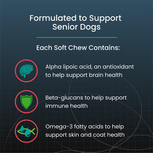 Nutramax Dasuquin Joint Health Supplement for Large Senior Dogs – for Immune Support, Skin & Coat Health, and Brain Health, 84 Soft Chews Nutramax LaboratoriesBuy Supplements Australia