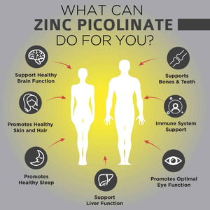 OmniBiotics Zinc Picolinate 30mg Supplement - High Absorption Zinc for Immune System, Healthy Skin, and Energy Support - 180 Vegan Capsules