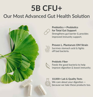 BIOptimizers Probiotic Breakthrough - Lactobacillus Plantarum OM Probiotics & Prebiotics Health Supplement for Gut, Digestive & Immune Support Probiotics
