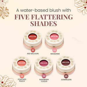 Paul & Joe Gel Blush, Bright and Buildable Blush Makeup, Water-Based Gel Makeup Blush with Hydrating Oils for Dewy, Radiant Finish, Garnet and Wine Red Cheek Tint, 05 Sommeliere, 0.71 oz Paul & JoeBuy Supplements Australia