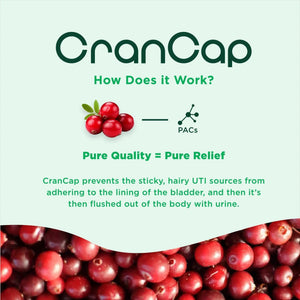 CranCap - Cranberry Pills - Urinary Tract Health Cranberry Supplement - 36mg of Potent PACs - Non GMO, Vegan, Gluten Free - by Heale - 30 Capsules CranCapBuy Supplements Australia