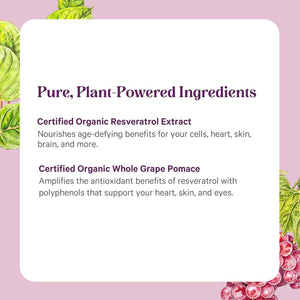 PURE SYNERGY SuperPure Resveratrol Extract - Organic Resveratrol Supplement - Antioxidant Trans-Resveratrol Extract with Grape Polyphenols - for Healthy Aging, Heart, and Skin Health (60 Capsules)