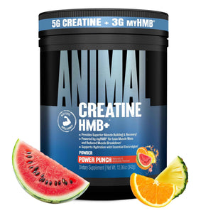 Animal Creatine HMB Powder - 3g myHMB + 5g Creatine with Electrolytes for Recovery & Daily Energy - Power Punch Flavor, 30 Servings