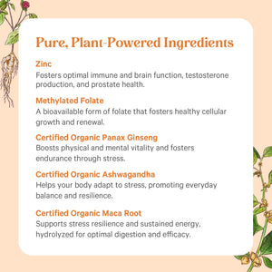 PURE SYNERGY Vita·Min·Vitality | Natural Multivitamin for Men | Men’s Daily Multivitamin Made with Organic Whole Foods | for Energy, Stress, and Immune Support (60 Tablets) PURE SYNERGY buy supplements Au